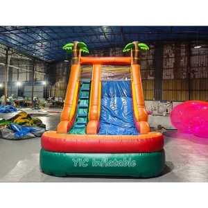 Inflatable Water Slide Dual Use Dry Wet Bouncer for Rental Business