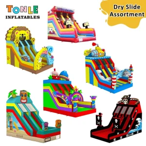 Inflatables New Design Custom Commercial Single Dual lane Slide Inflatable Slide for Kids and Adult