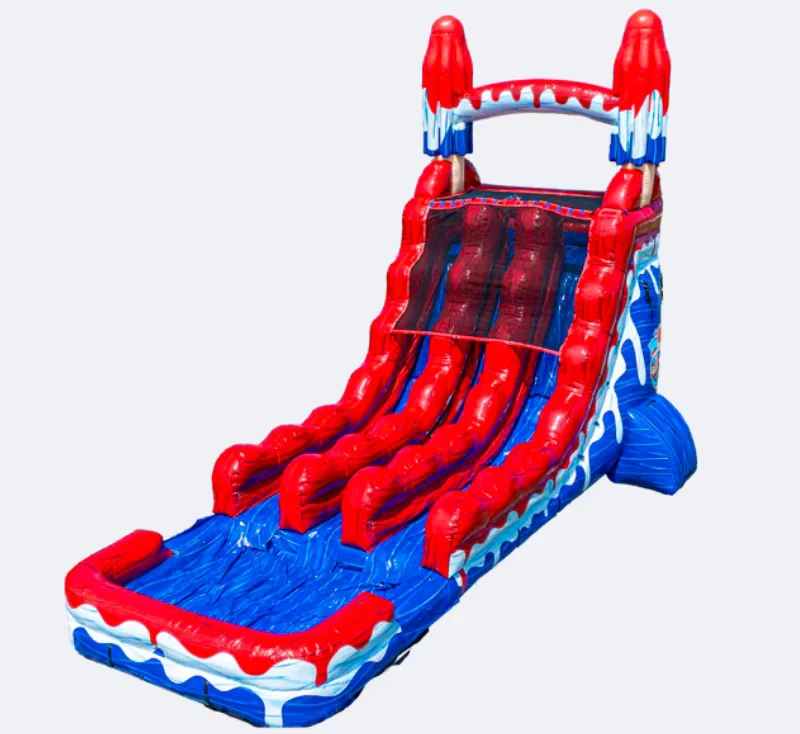 Inflatables Water Slides for Adults Commercial PVC Double Lane Inflatable Slides Party