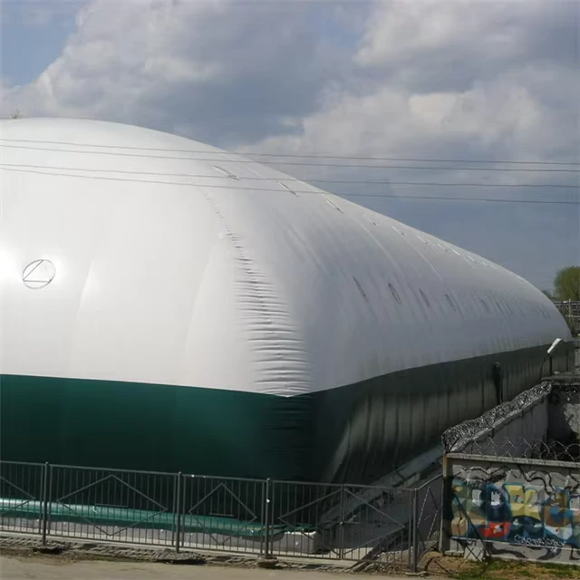 Cúpula Inflable Comercial Grande con Soporte de Aire