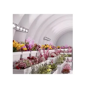 Cámara fría móvil, almacenamiento frío móvil para flores frescas y plantas, estructura de membrana inflada por aire