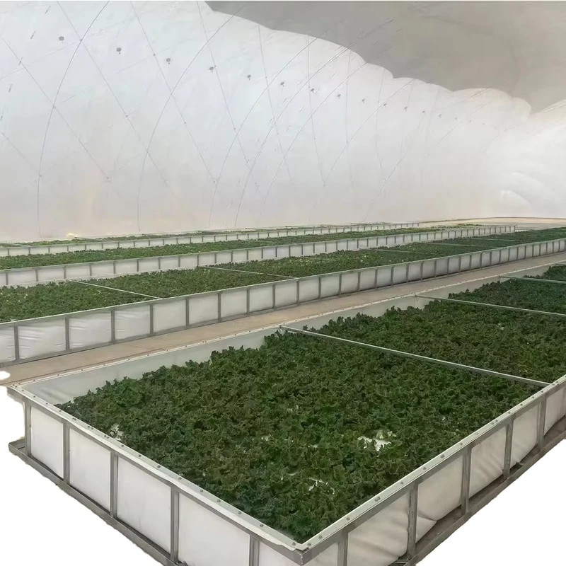 Modern Automatic Control Remote Controlled Air Dome Infilled Plastic Membrane Multi-Span Greenhouse for Agriculture