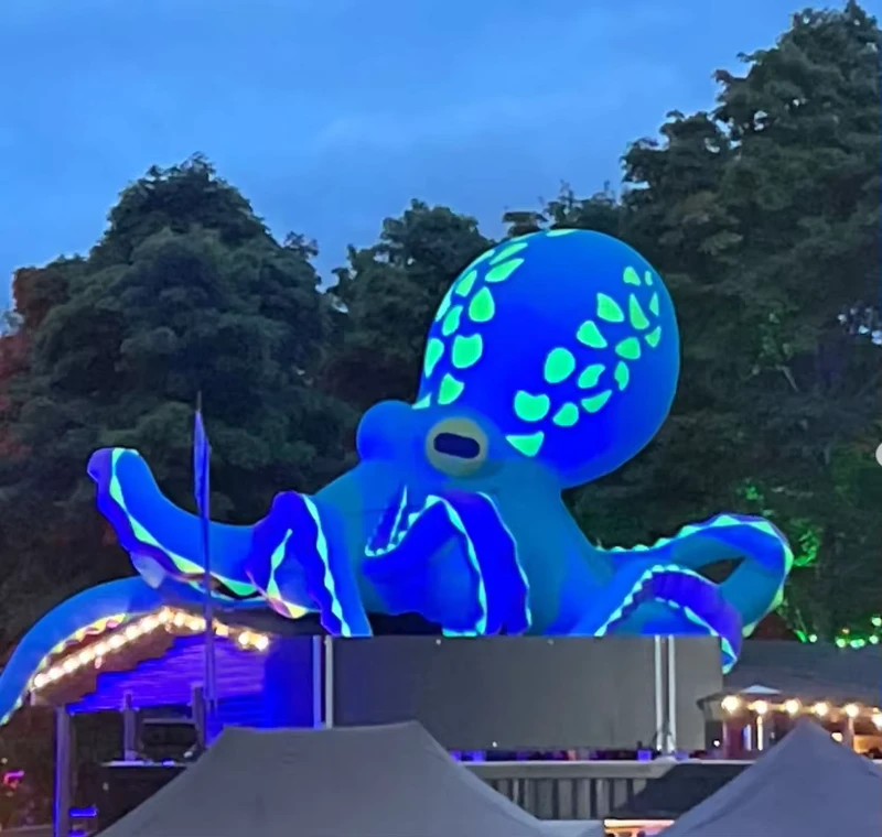 Night Party Decoration Inflatable Jellyfish Balloon inflatable Octopus Monster with Led Lighting