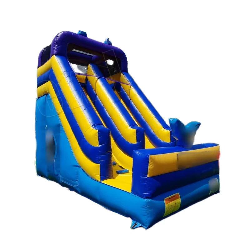 OEM Opblaasbare Glijbaan PVC Lane Droge Glijbaan Met Bescherming voor Volwassenen en Kinderen Binnen