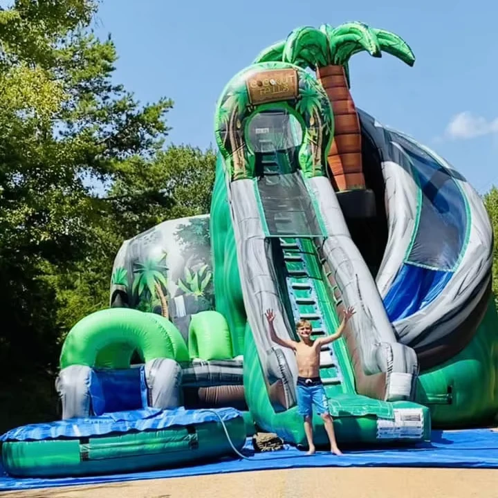 Outdoor 29.5ft Commercial PVC Tarpaulin Wet Dry Dual Use Giant Water Slide Inflatable With Pool Kids Inflatable Water Park