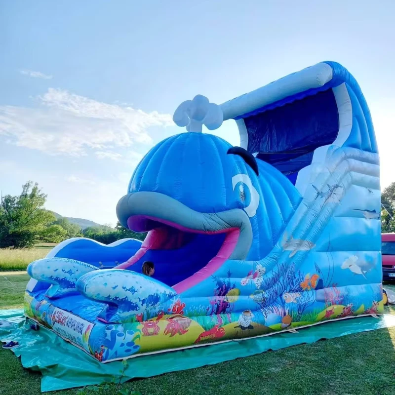 Seluncuran Kering Komersial Inflatable untuk Anak-anak dan Dewasa