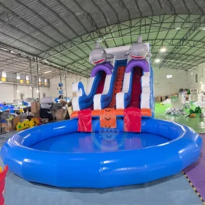 Outdoor Giant Inflatable Water Slide With Extension Slide and Swimming Pool