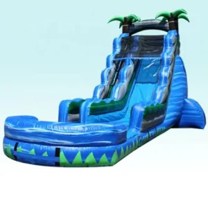 Outside Inflatable Games Inflatable Water Slide Inflatable Slide for Fun