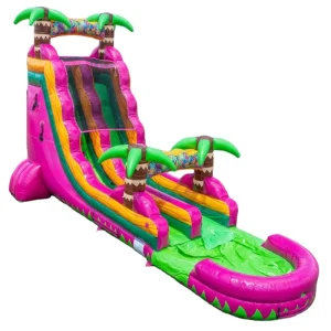 PVC Large Outdoor Party 24ft Inflatable Water Slide Wet Dry Slide for Adults