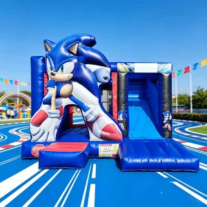 Rumah Lompat Inflatable Kartun Anak-anak dari PVC Tarpaulin, Kombinasi Kastil Lompat Inflatable dengan Seluncur