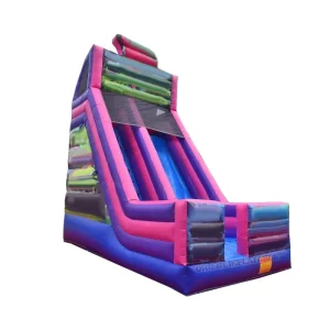 Popular Commercial Inflatable Water Dry Slide for Sale