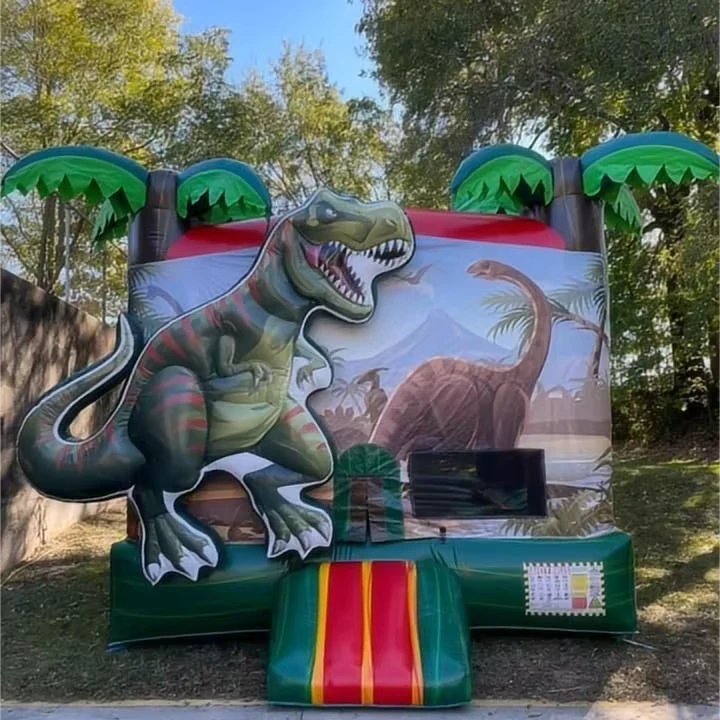 RY Dinosaurio comercial Moonwalk, castillo inflable pequeño, saltador, casa de rebote para adultos, combo de rebote, Moon Bounce para niños