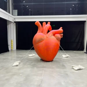 Realistic Inflatable Human 3D Heart Model for Medical Education Clinic Promotions Giant Inflatable Heart Organ Model