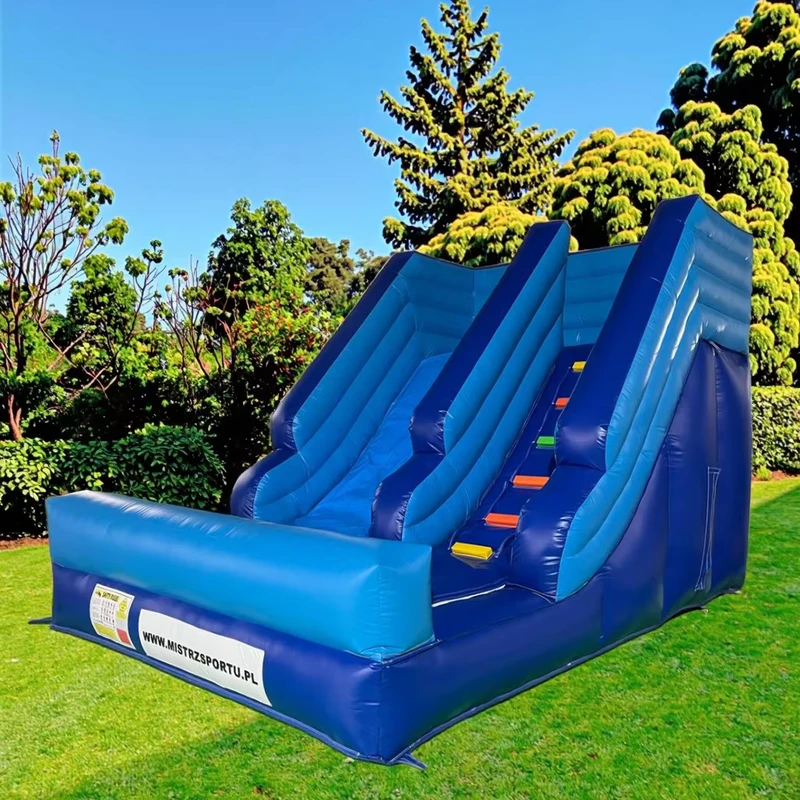 Pequeña resbaladilla inflable de delfín para piscinas residenciales, uso en jardines de infancia
