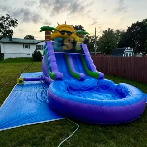 Sunshine Water Slides Backyard Inflatable Commercial Inflatable Water Slide Pool Inflatable Outdoor Slide Waterslide