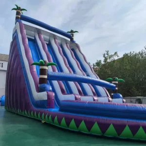 Waterslide Commercial PVC Inflatable Water Slide for Kid Inflatable Slide With Pool Wet or Dry Slide Adult