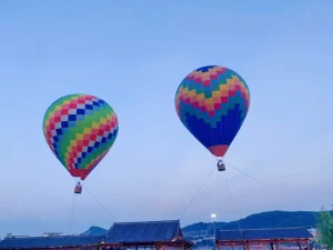झोंगशेंग ZS-7 एलियन-आकार का मानव-नियंत्रित मिनी रिमोट-कंट्रोल inflatable हॉट एयर बैलून, नोमेक्स सामग्री, मिश्रित रंग, 21 मीटर X 17 मीटर